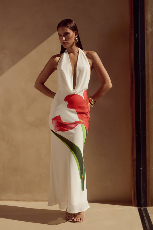 Jasmina Maxi Dress | RED | Runaway the label